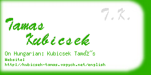 tamas kubicsek business card